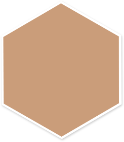 main-banner-round.png